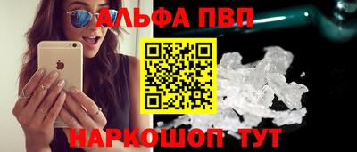 амф Кингисепп