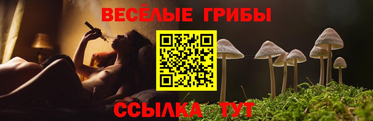 Мегион  Псилоцибиновые грибы Psilocybine cubensis  Галлюциногенные грибы мицелий  Вход с VPN 